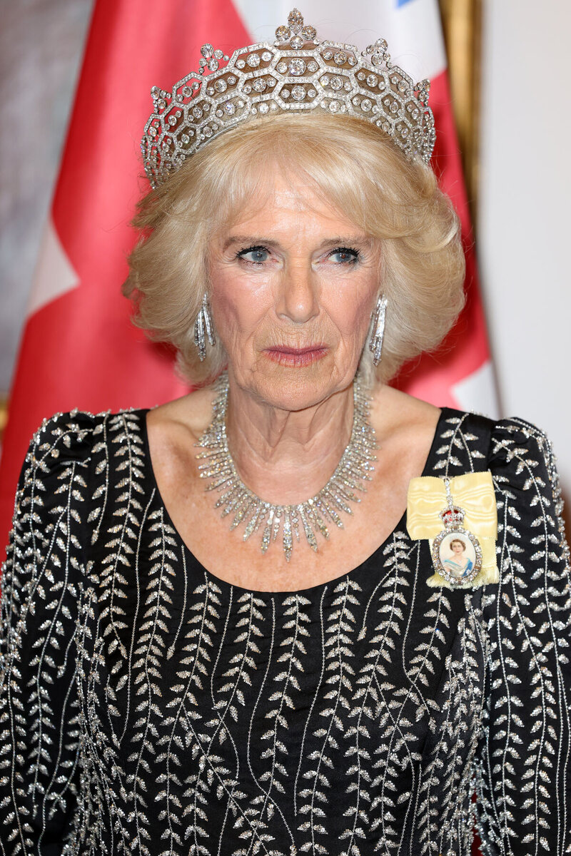    Королева-консорт Камилла