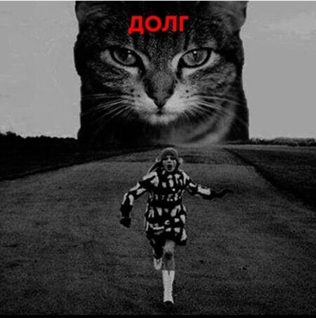  Из открытого доступа. 
