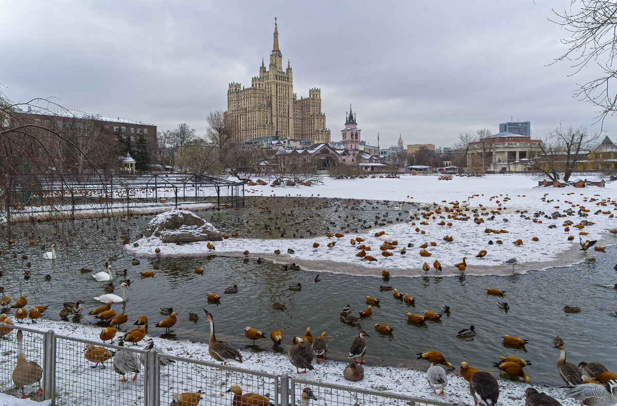 московский зоопарк весной