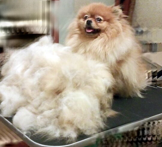 Фото из личного архива.