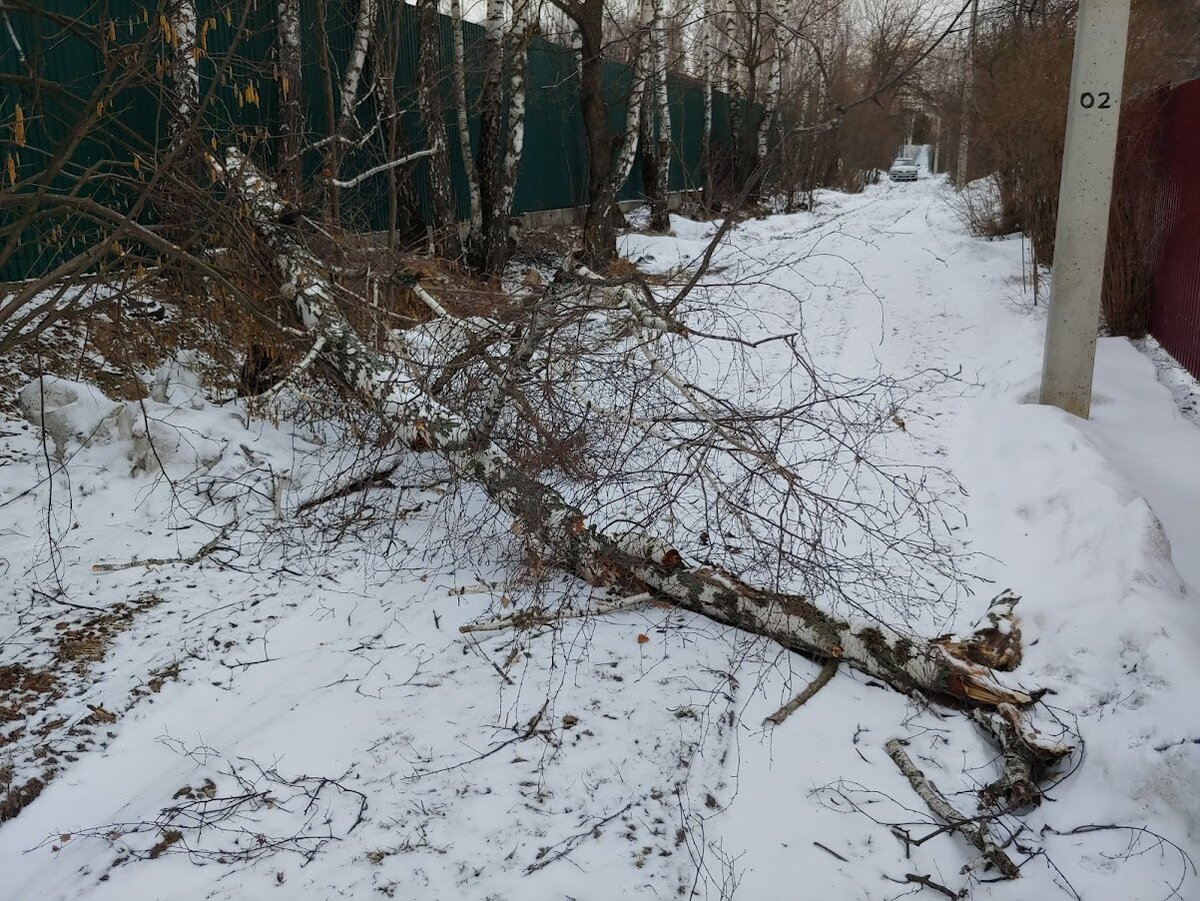 Погода в начале апреля | Вместо квартиры - дом! | Дзен