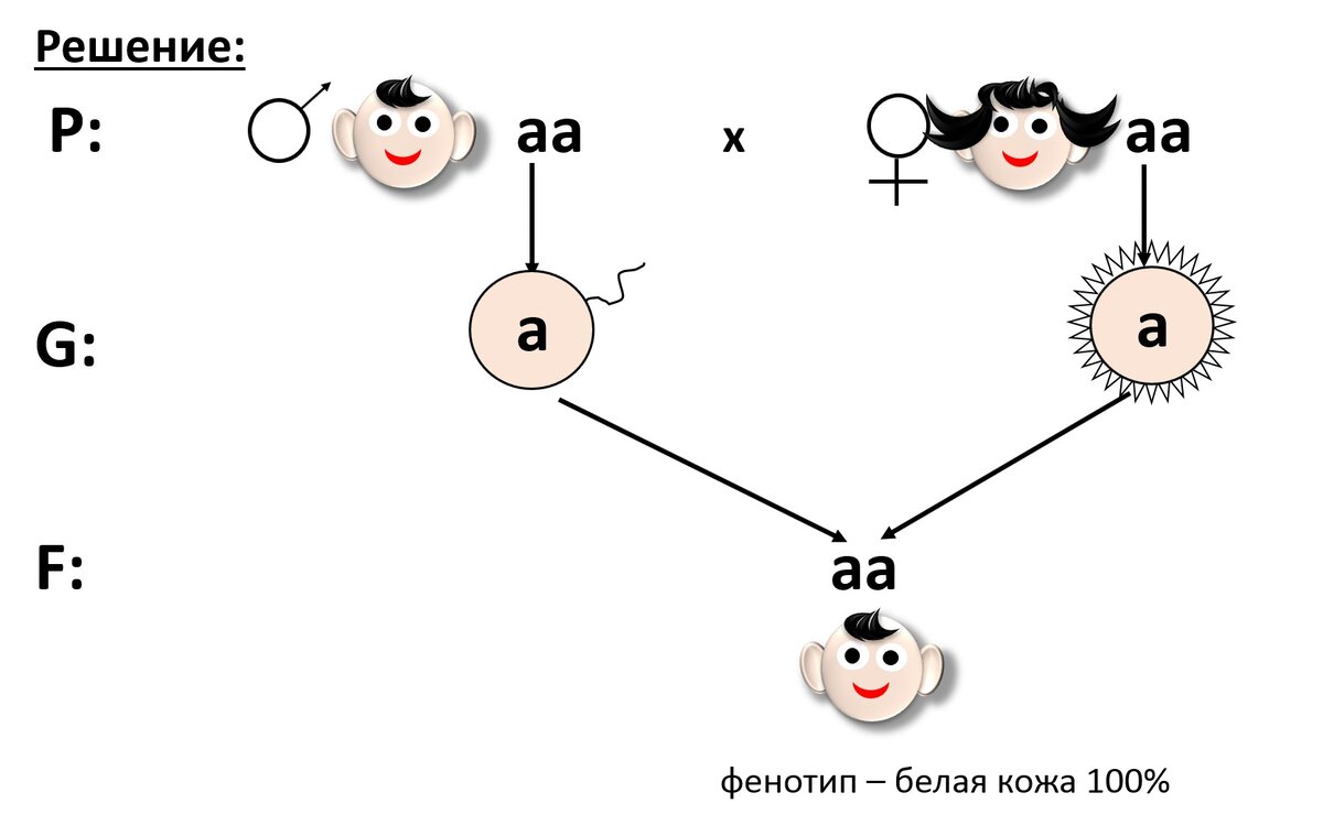 Может ли у русской девушки и русского парня родиться негритёнок? | Генетика  для всех | Дзен