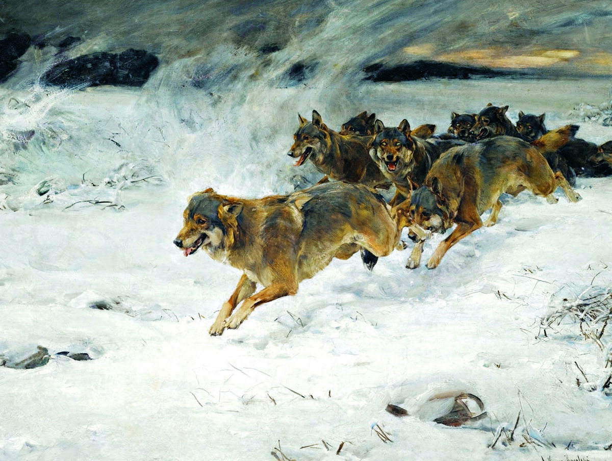     ИЛЛЮСТРАЦИЯ АЛЬФРЕДА ВЕРУШ-КОВАЛЬСКОГО