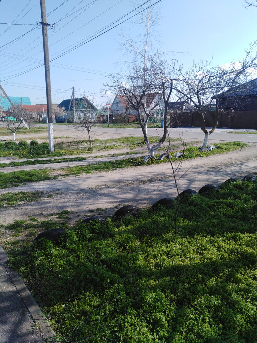 Дорога на работу. 
