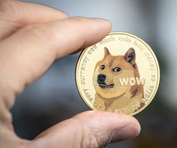     Илон Маск заменил синюю птицу в логотипе Twitter на пса Доге. Dogecoin за полчаса вырос в цене на 30%