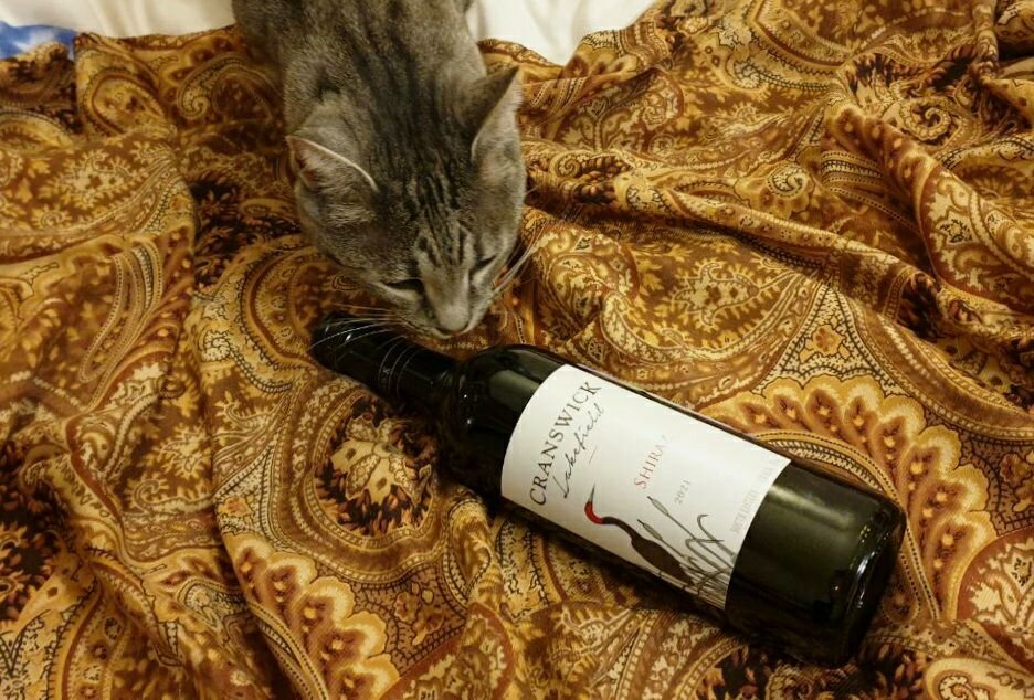 Котик схватил цаплю
