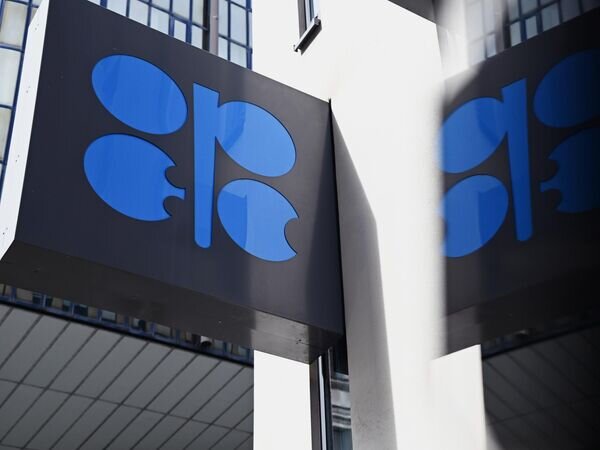    © Алексей Витвицкий