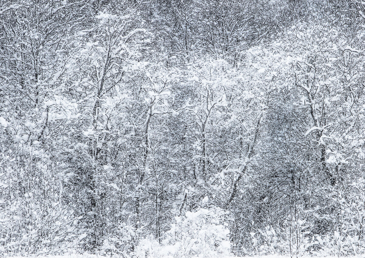 Горы заснеженные Графика рисунок ч/б. Мелоди снегопад. Рингтон снег на телефон