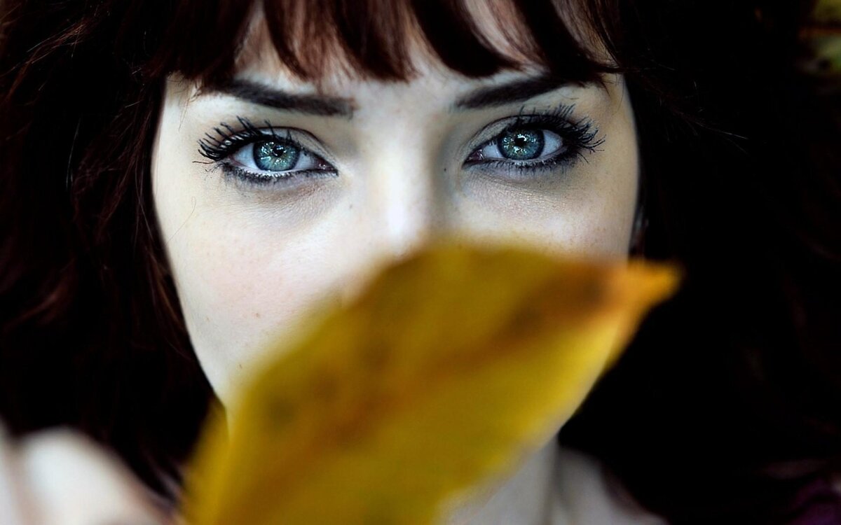 фото из Инета.