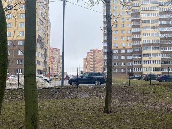     Фото: МК в туле