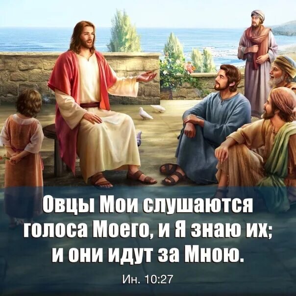 Из открытых источников Яндекса.