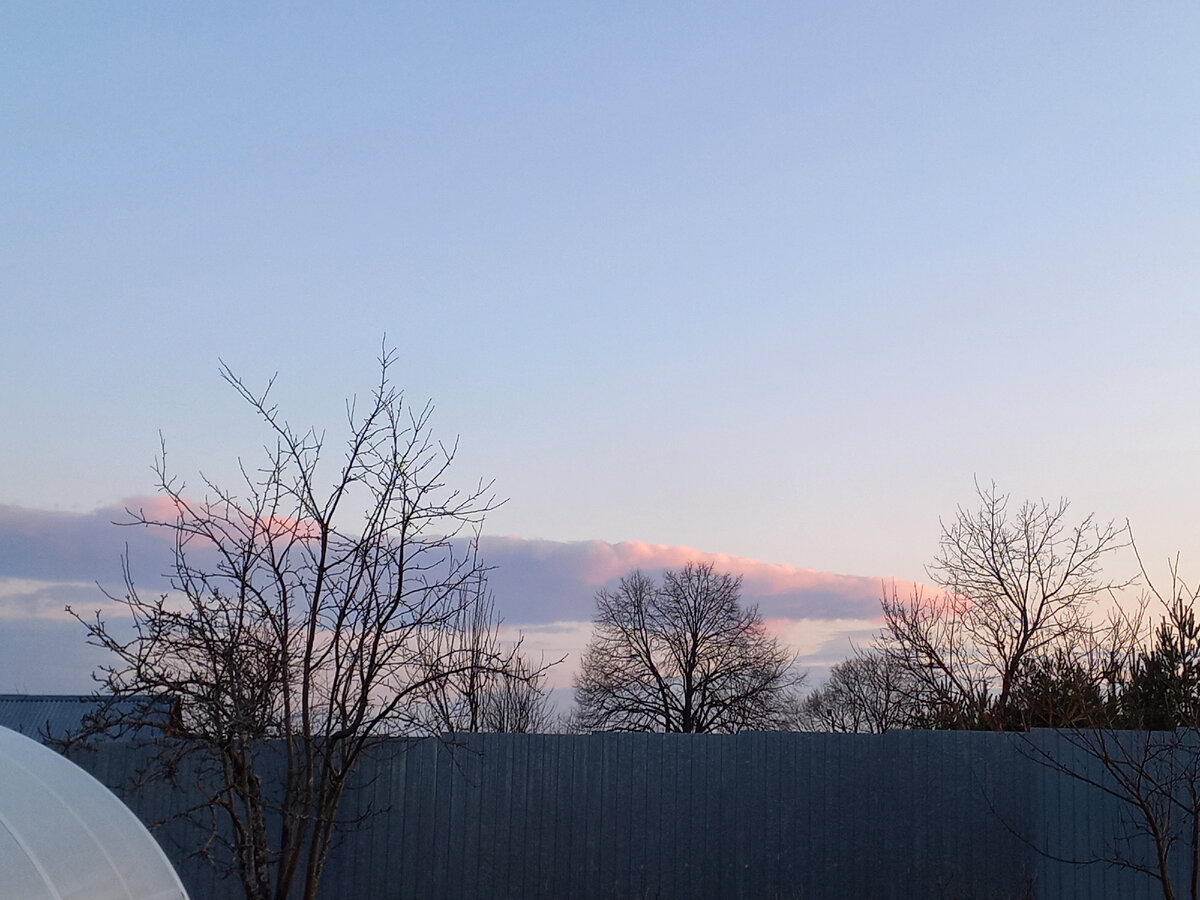 Весенняя вечерняя красота.