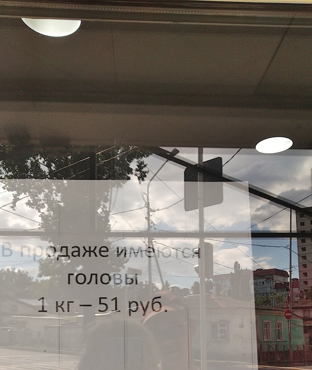 Предикт