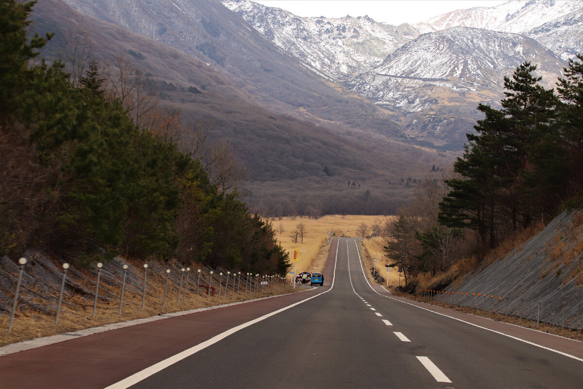 Почему японцы каждую весну поджигают склоны гор и любуются этим ...