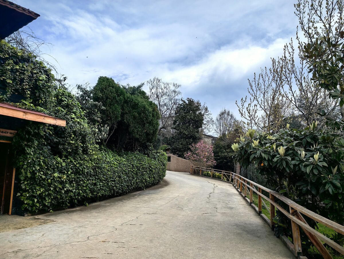 Зоопарк действительно напоминает сад