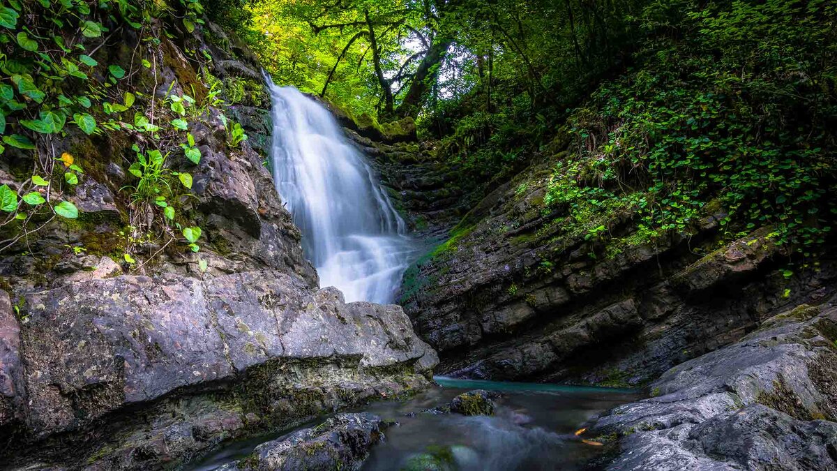    Обязательно стоит прогуляться по царству первозданной природы.Фото: Илья БУНИН, commons.wikimedia.org