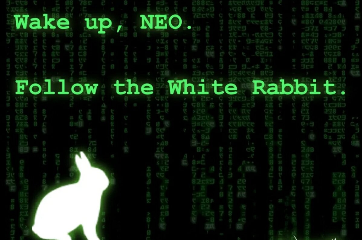 Follow the rabbit. Следуй за белым кроликом Нео. Следуй за белым кроликом матрица. Кролик из матрицы. Следуйте за белым кроликом матрица.