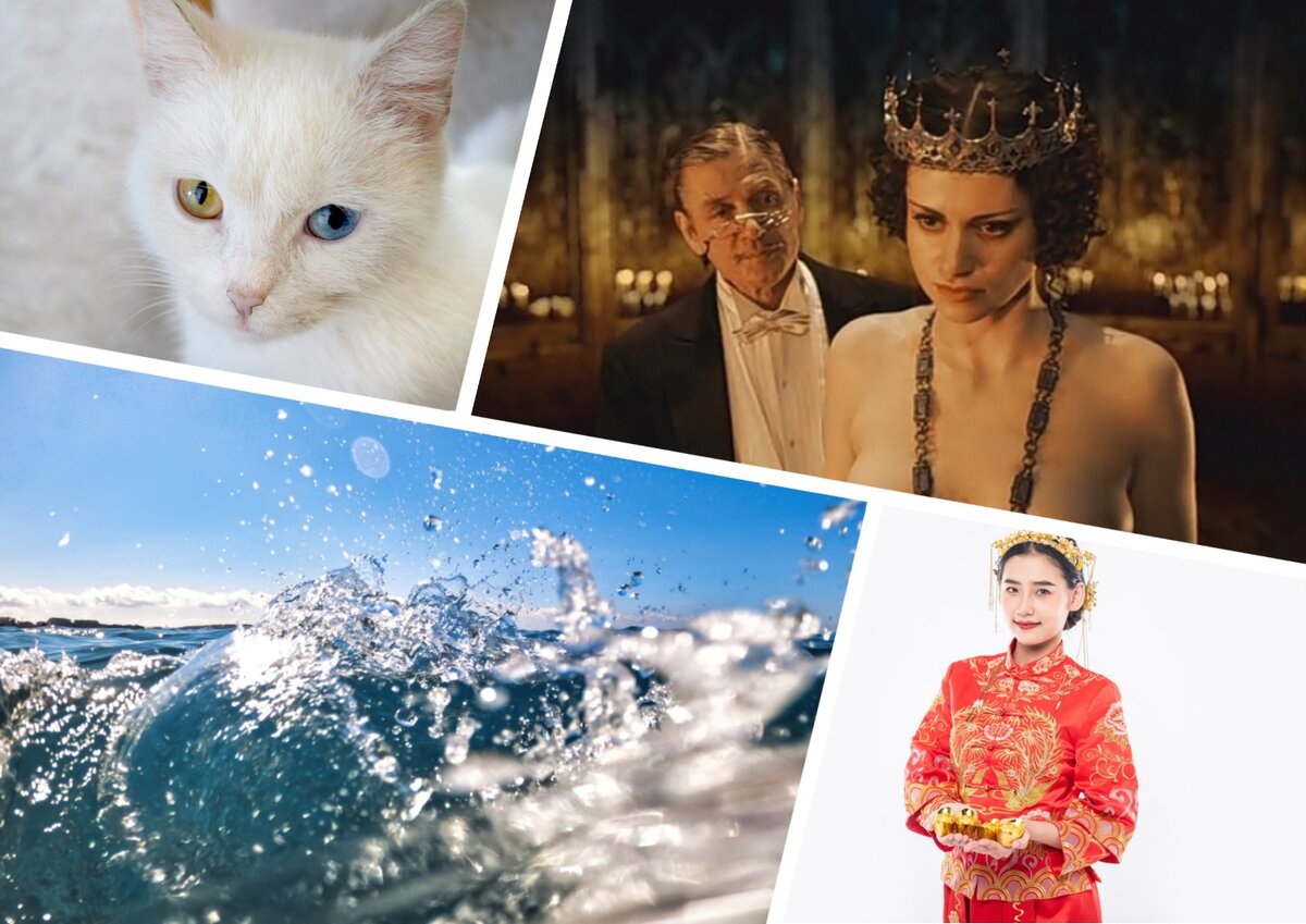 На каком уровне ваши знания? Проверьте себя | ЛидерТест | Дзен