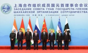    Фото: sectsco.org Карина Романова