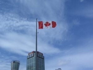    Фото: flickr.com Андрей Пунегов