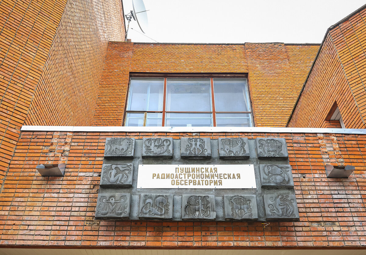    Светлана Парфенова