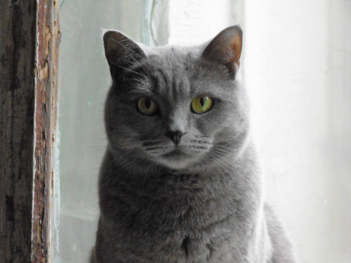 Фото, сделанное в коммуналке, куда теперь для нас с Шаней путь закрыт. Навсегда. Фото автора