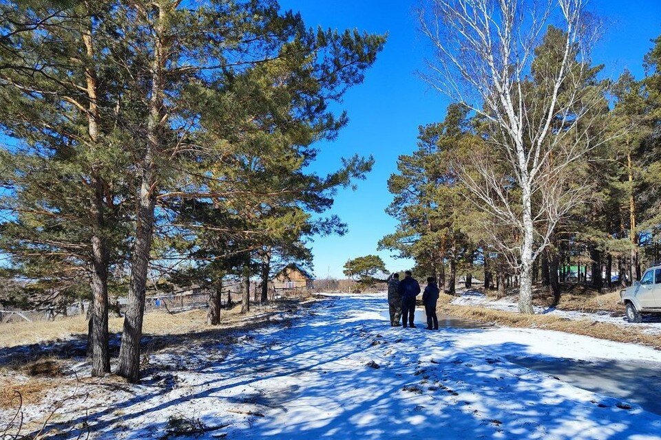     Центр будет находится в Кудряшовском бору. Фото: t.me/monprirodi