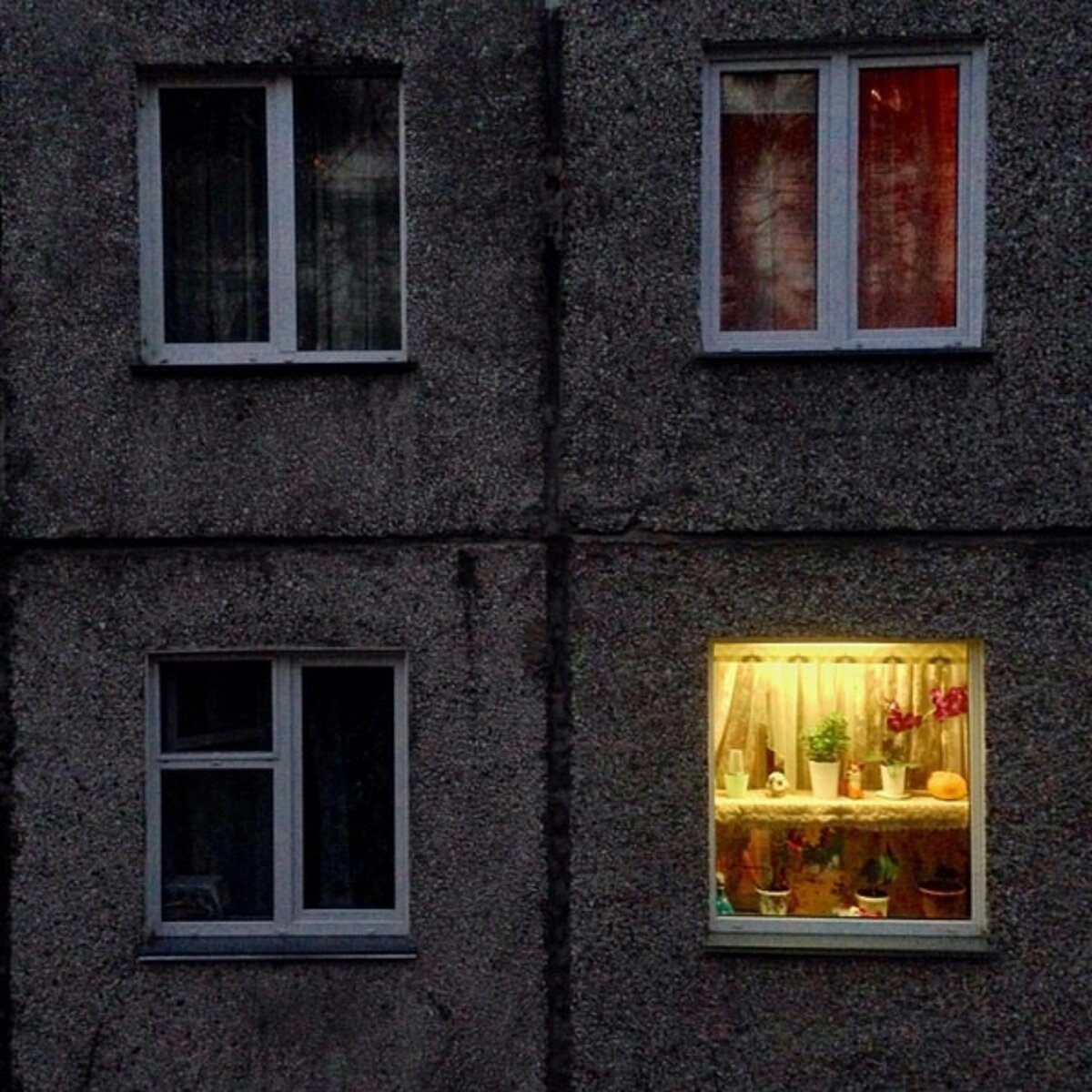 Вечерние окна