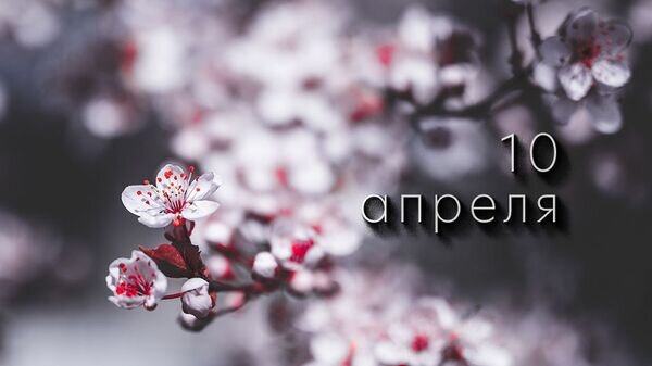    © Photo : Brett Sayles: Pexels