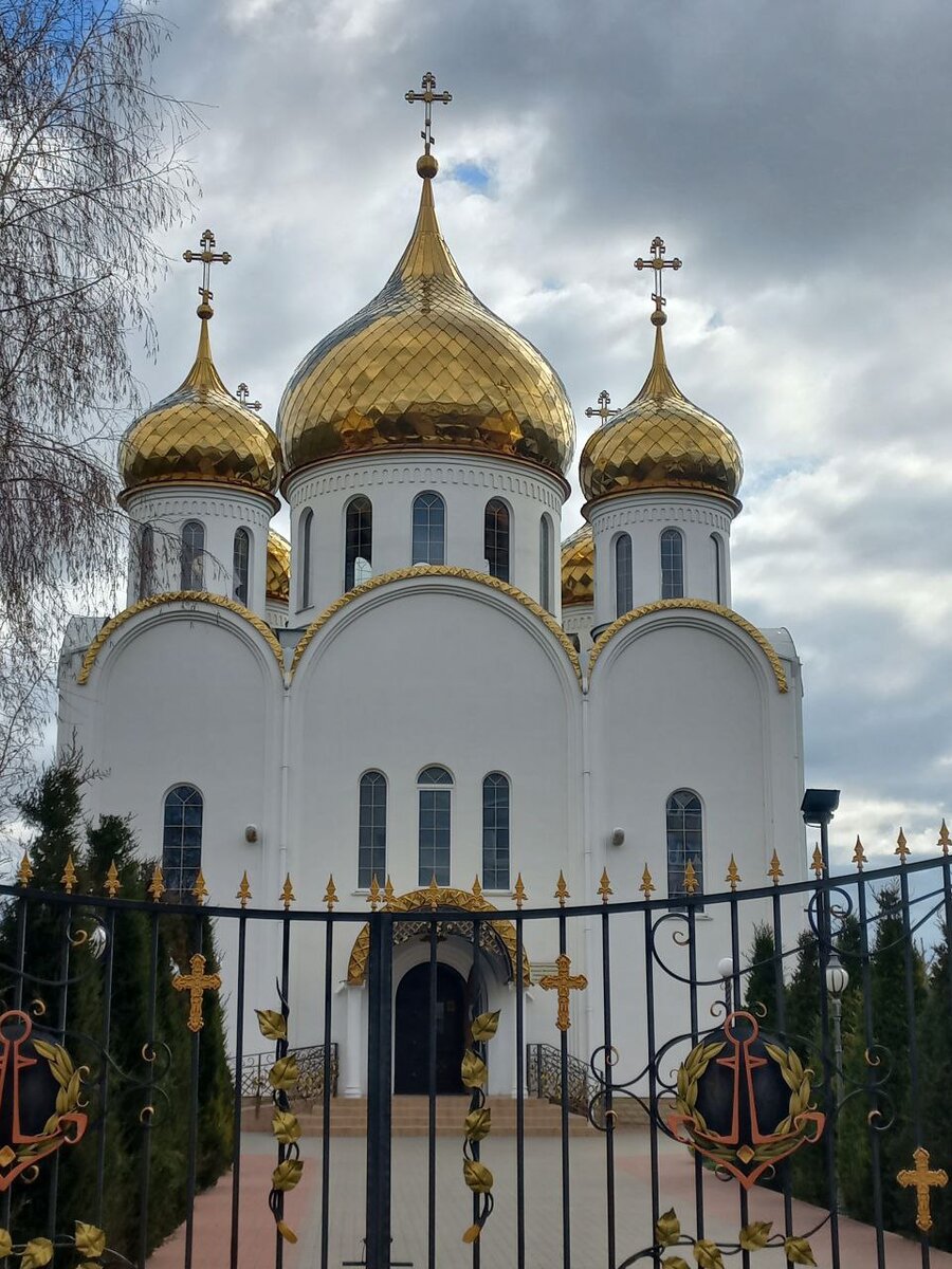 Фото: Молочкова А.