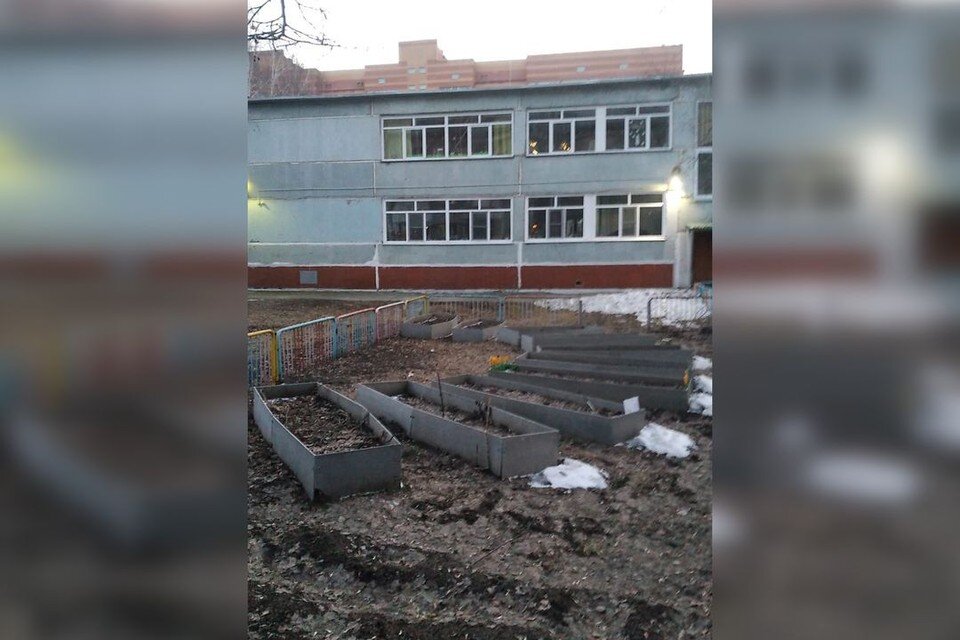     Оттаявшие серые клумбы напоминают новосибирцам гробы. Фото: предоставлено автором.