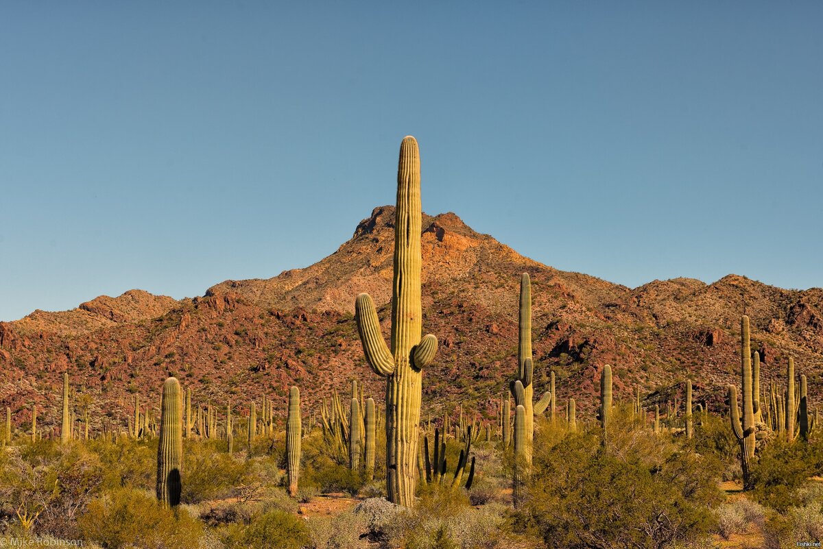 Источник www.storyblocks.com