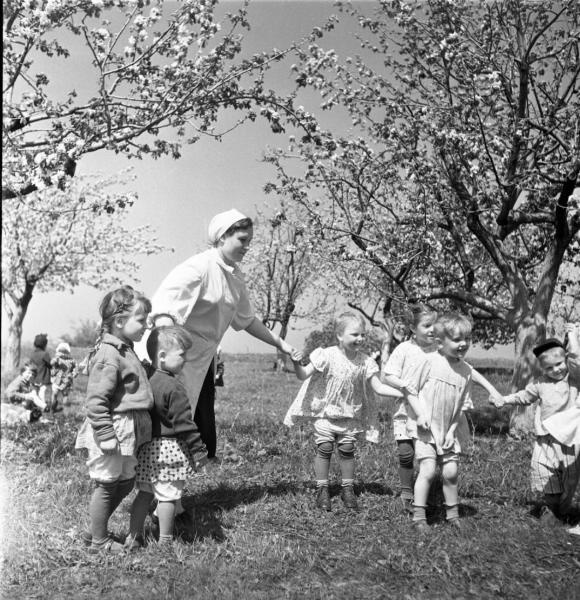 Всеволод Тарасевич Детсад. Цветущий сад
Дата съемки: 1957 год