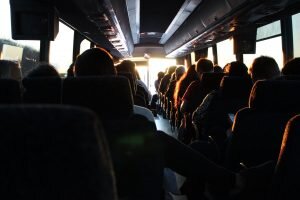    Фото: Ash Gerlach / unsplash.com Карина Романова