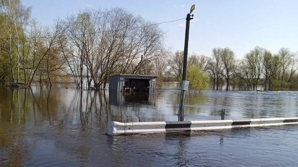    © ОСВОД | Гомельская область/Вконтакте