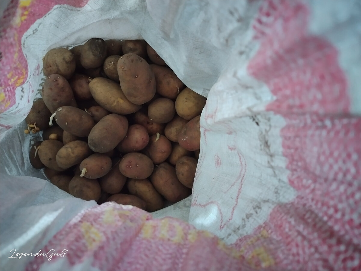 Еще до того, как перебрала