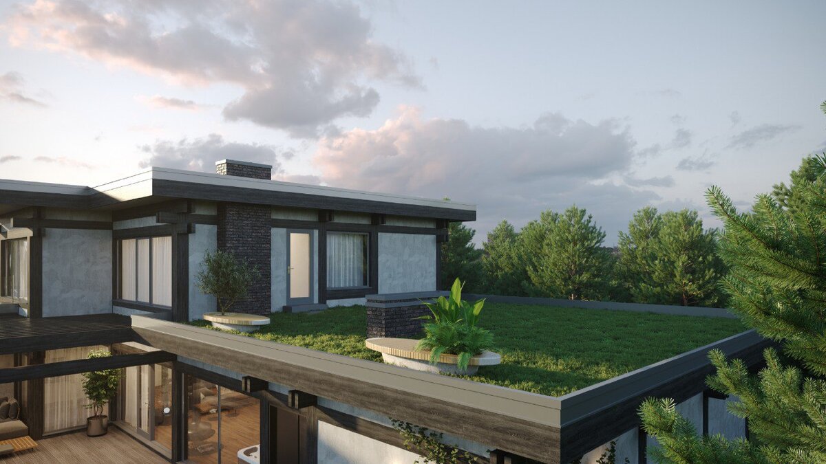 Кровля дома по проекту СПА-Миллениум