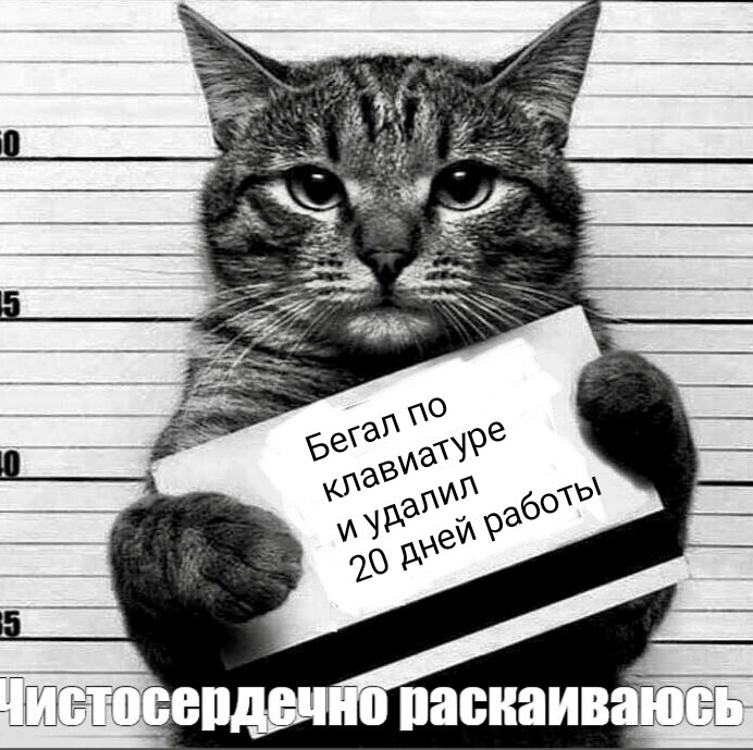 scale_1200