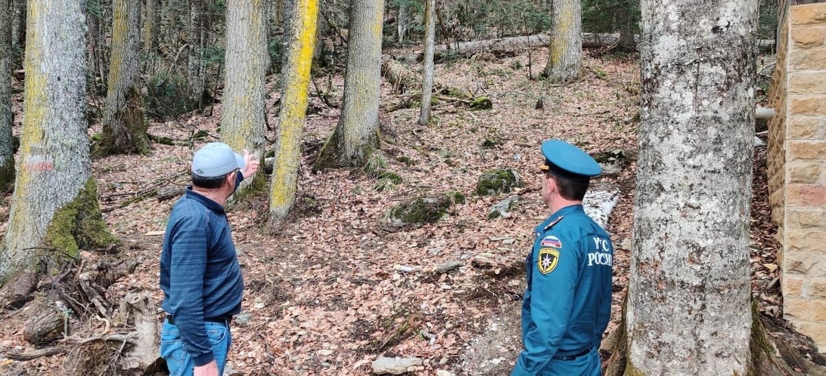 Подверженные угрозе лесных пожаров. Пожар в лесу. Лесные пожары и населённые пункты. Сотрудник МЧС. Лесные пожары МЧС.