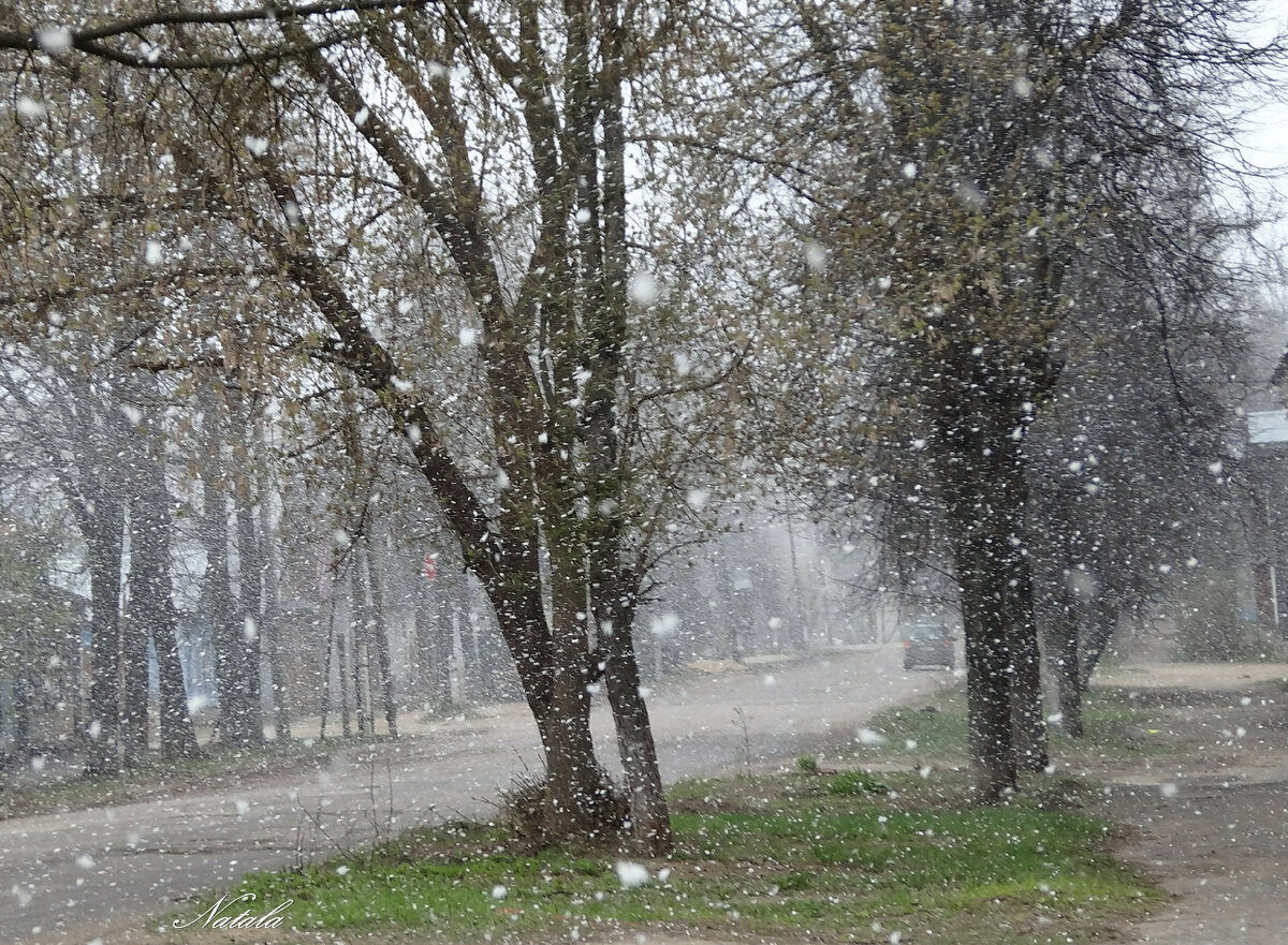 Фото используется в иллюстративных целях. 