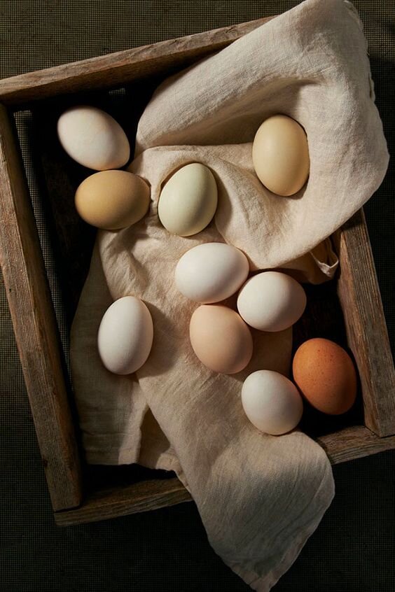 *фото из открытых источников