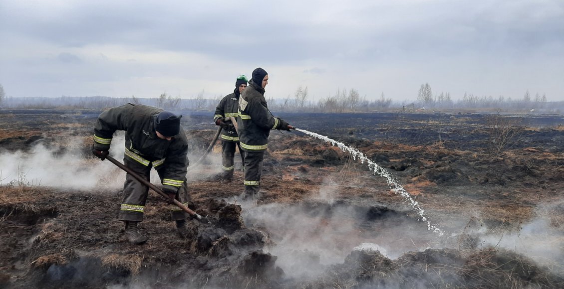    Фото: из открытых источников