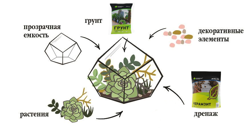 Как сделать флорариум своими руками? | aux-cond.ru | Дзен