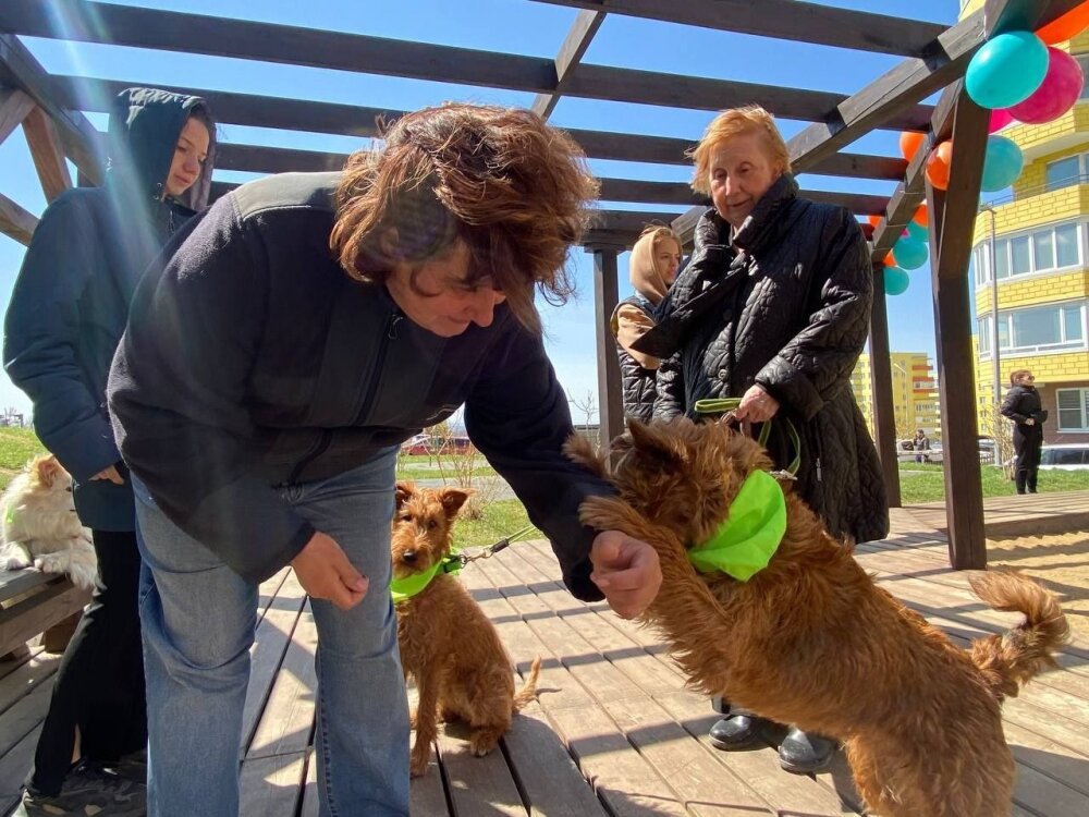    Фото:  АиФ/ Александр Колегов