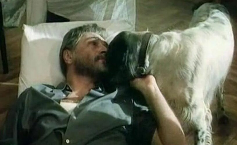 У всех бездомных собак когда-то были хозяева. Это, наверное, самая известная цитата из фильма «Белый Бим Черное ухо» 1976 года.-3