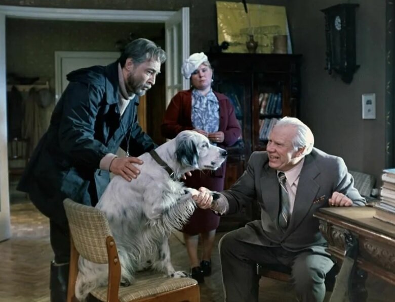 У всех бездомных собак когда-то были хозяева. Это, наверное, самая известная цитата из фильма «Белый Бим Черное ухо» 1976 года.-4