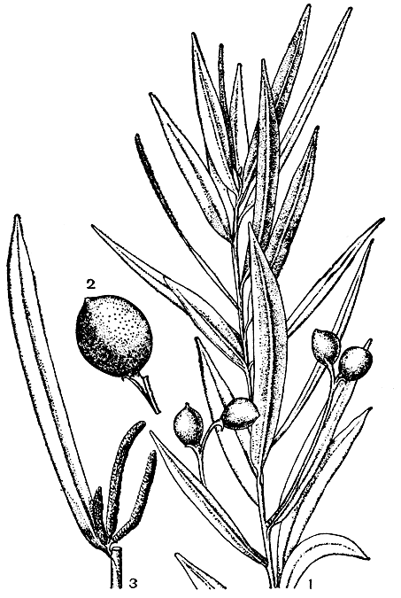 Рис. 3.