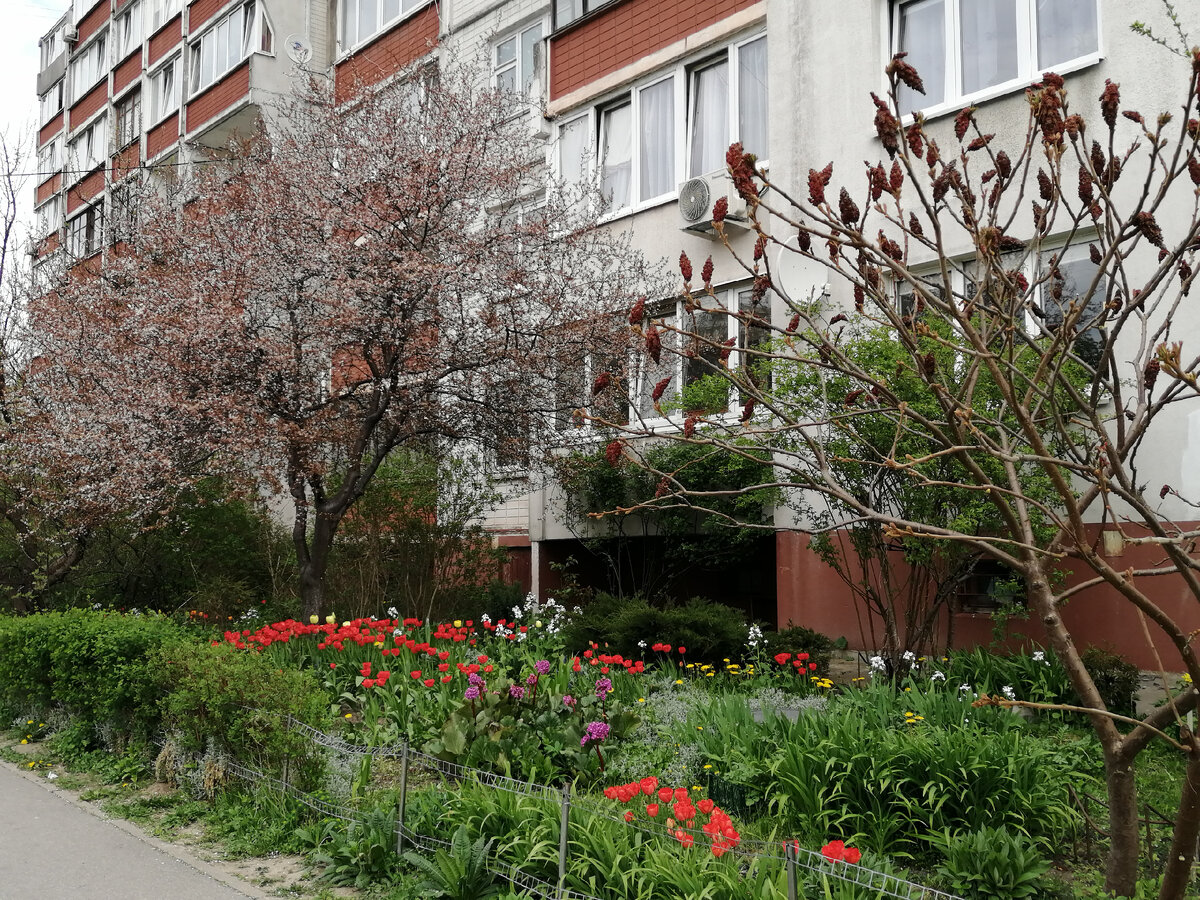 Апартаменты однокомнатная квартира на Фермора район Сельма (Калининград)