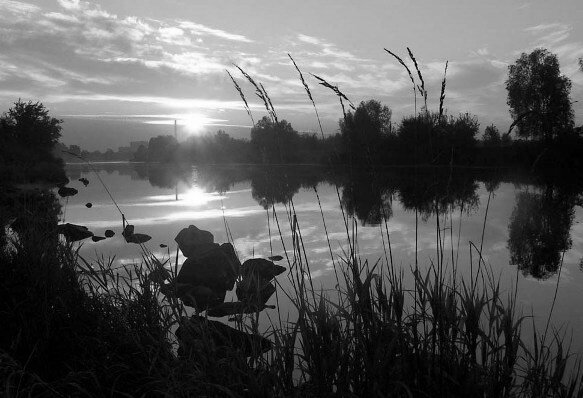 Фото из открытых источников.