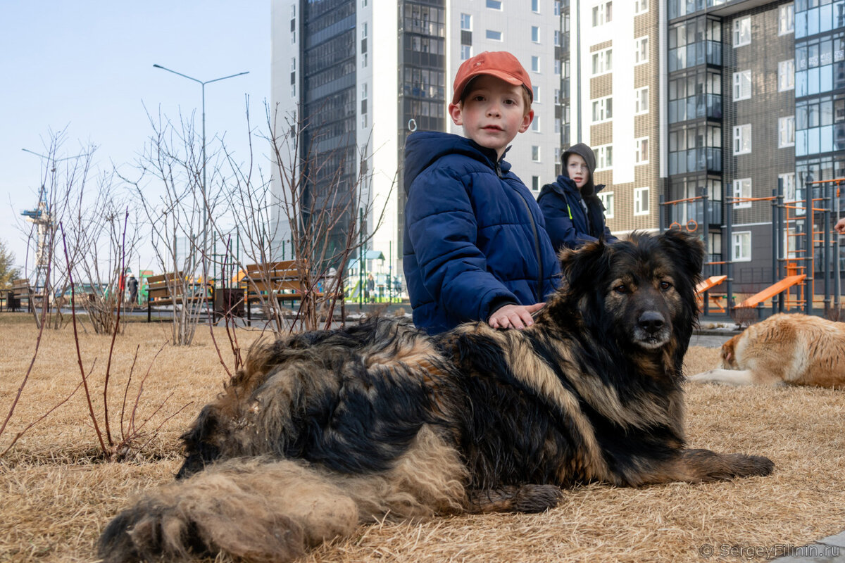 Худший район новостроек в Красноярске Красноярск с высоты Дзен